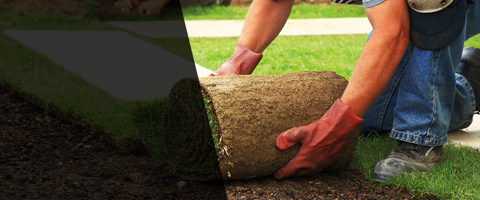Anoka Landscapers